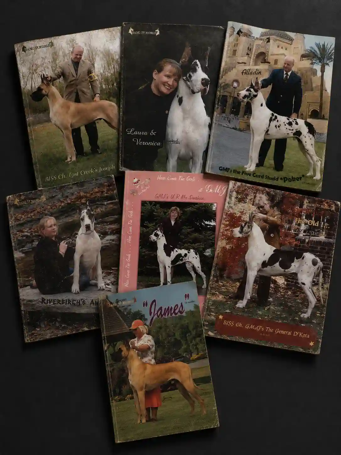 great dane world