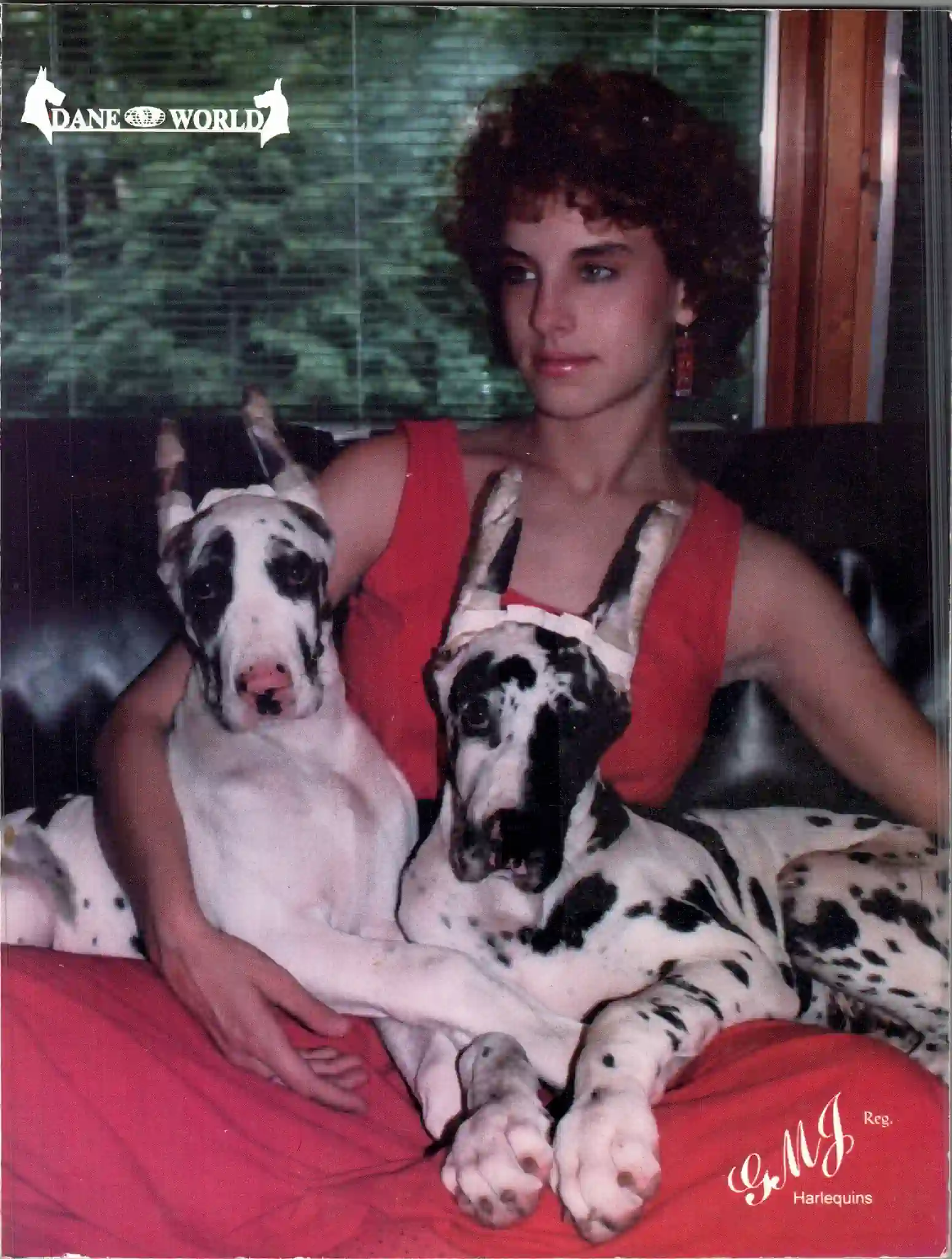 Great Dane World ? 1994