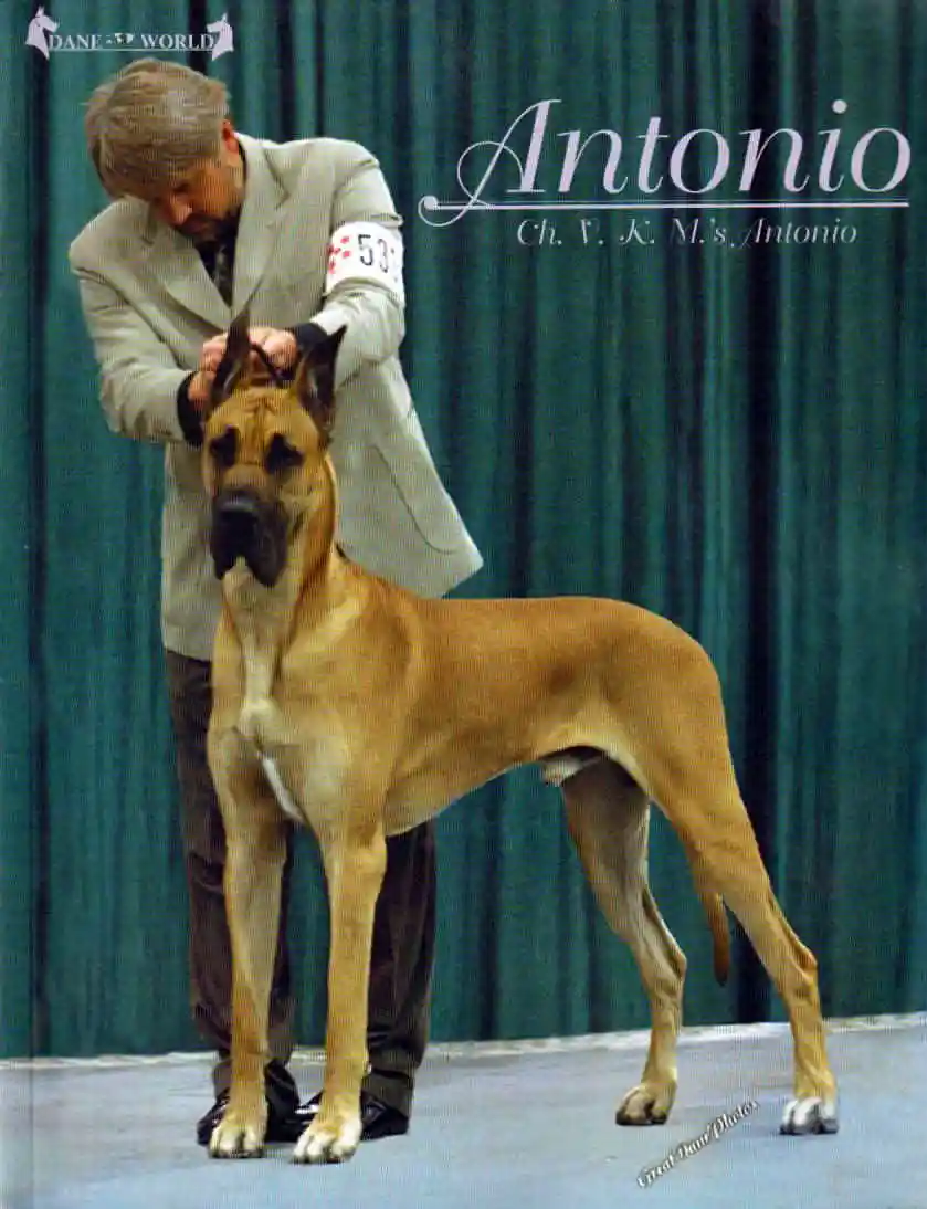 Great Dane World Jan/Feb 2002