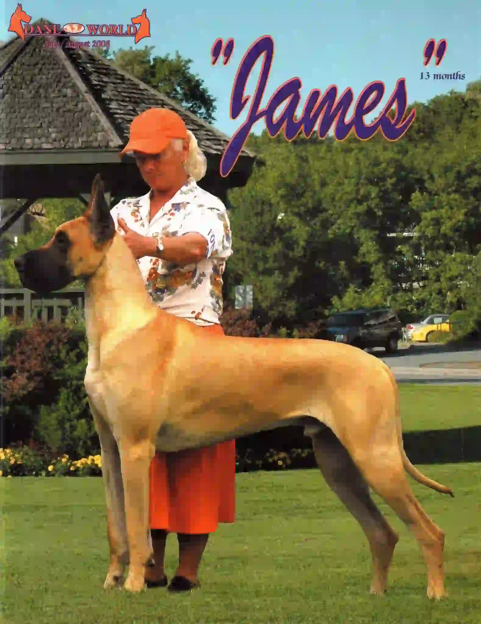 Great Dane World Jul/Aug 2008