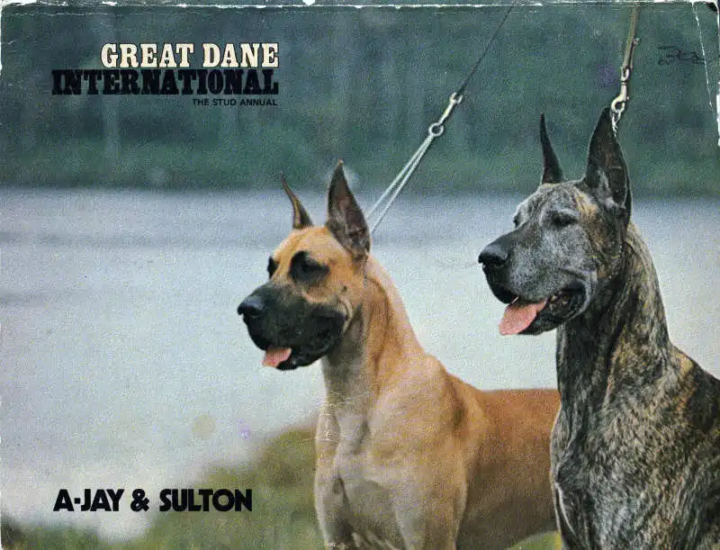 Great Dane International