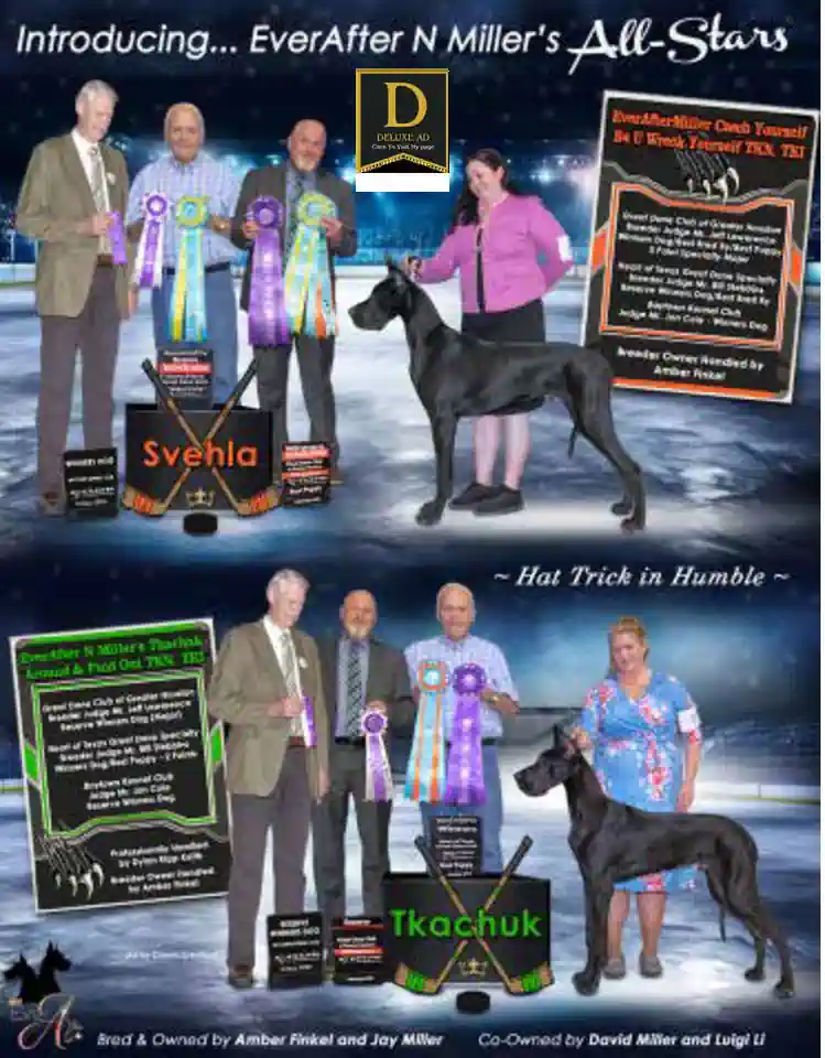 Great Dane review flipbook Ape 2025