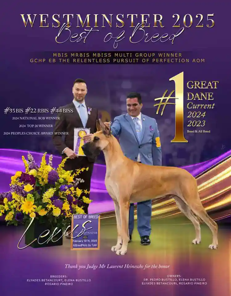 Great Dane review flipbook Feb 2025