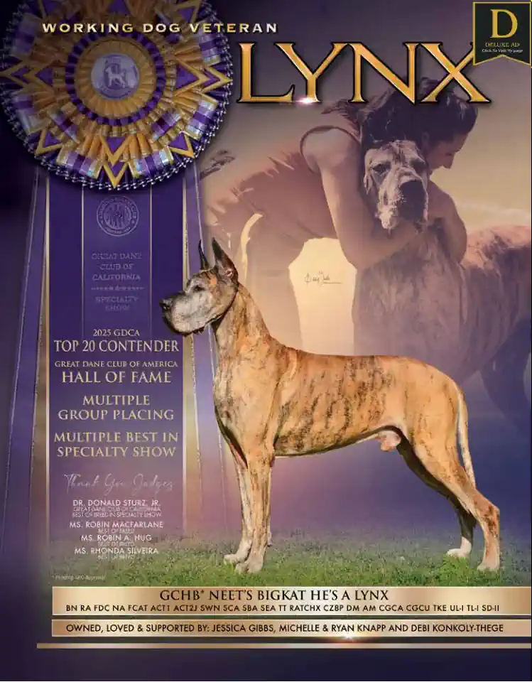 Great Dane review flipbook Jul 2025