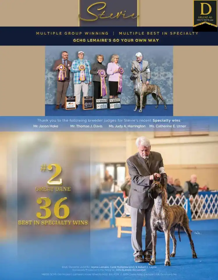 Great Dane review flipbook Jun 2025