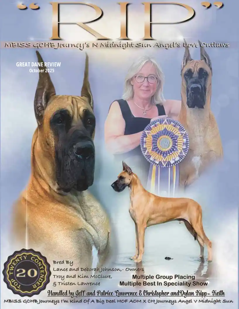 Great Dane review flipbook Nov 2025
