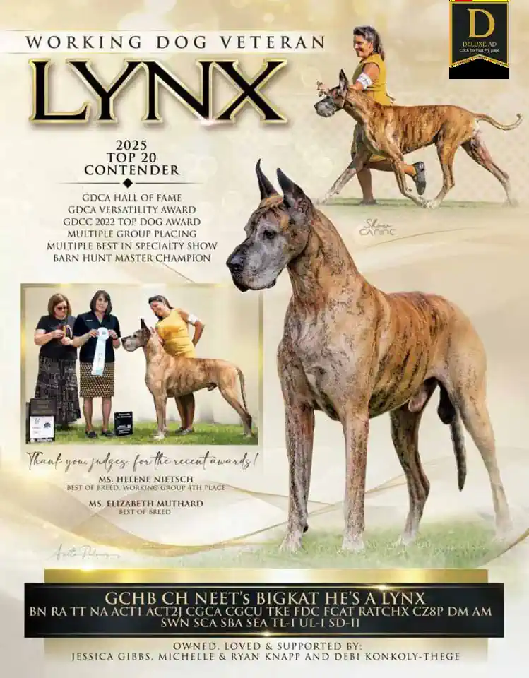 Great Dane review flipbook Sep 2025