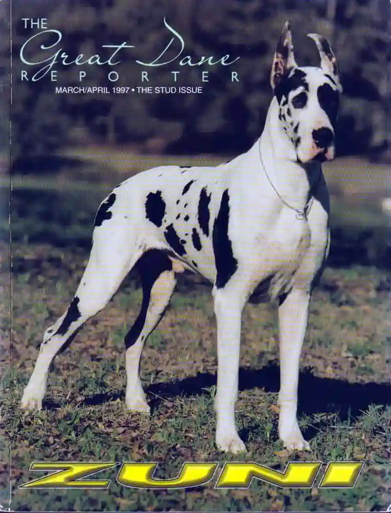 GD Reporter Mar/Apr 1997
