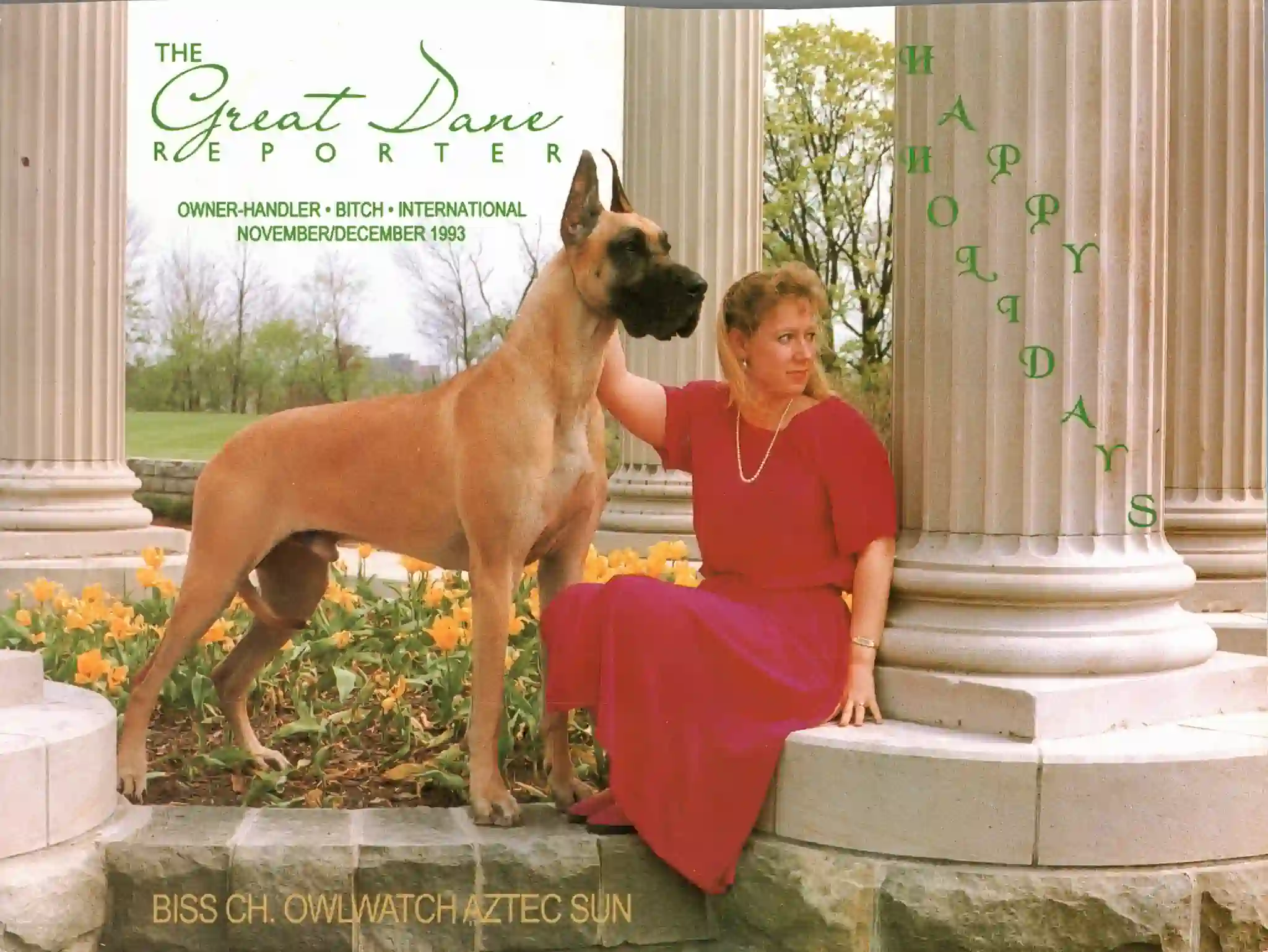 GD Reporter Nov/Dec 1993