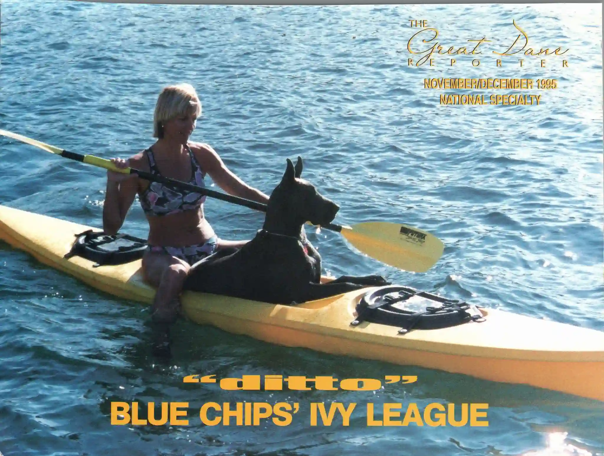 GD Reporter Nov/Dec 1995