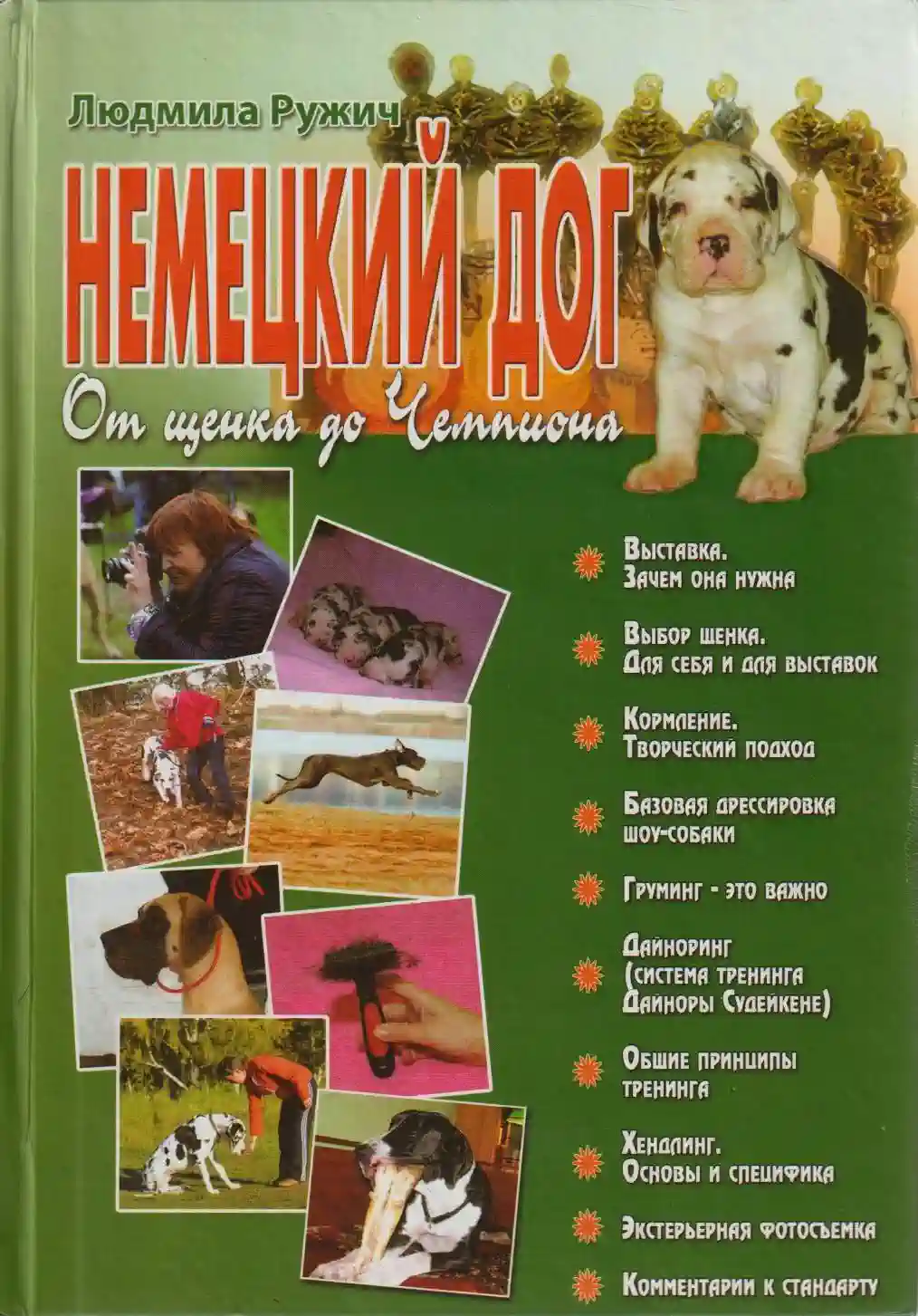 Ruzhich