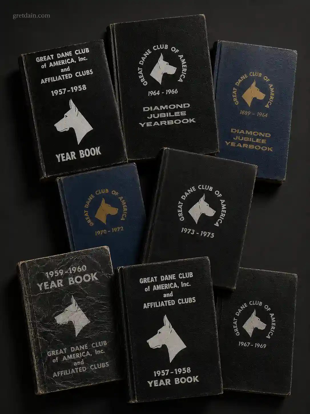 great dane club of America