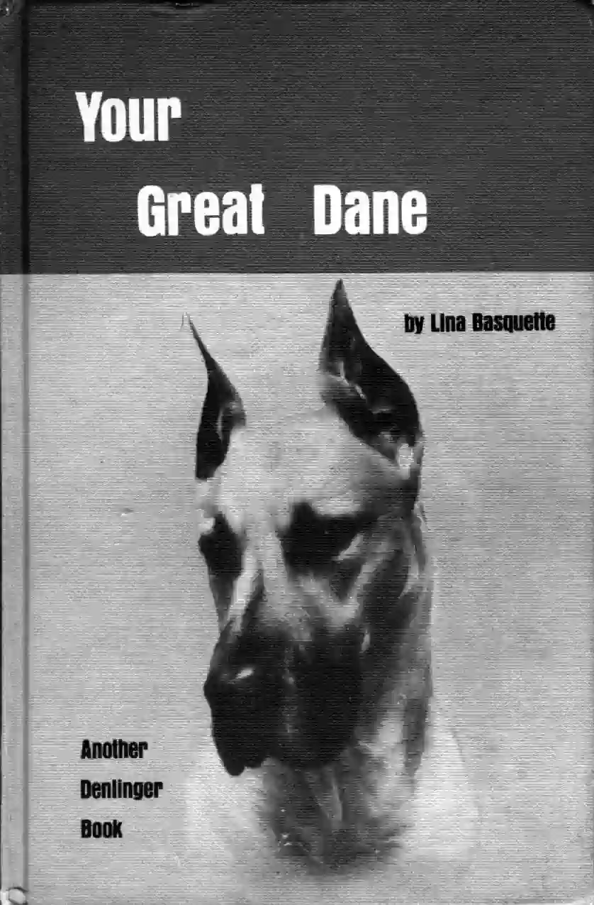 Basquette Your Great Dane